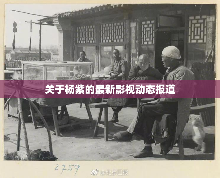 关于杨紫的最新影视动态报道