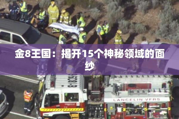 金8王国：揭开15个神秘领域的面纱