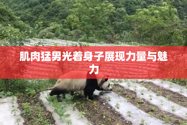 肌肉猛男光着身子展现力量与魅力