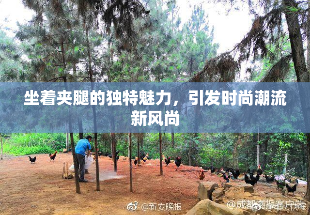 坐着夹腿的独特魅力，引发时尚潮流新风尚