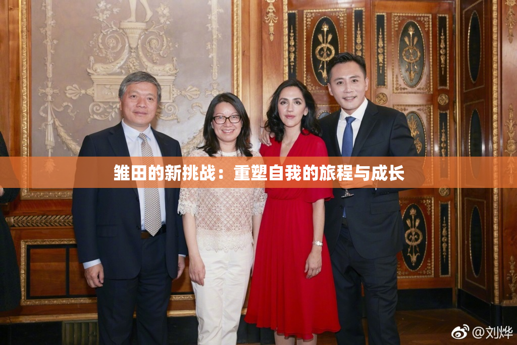 雏田的新挑战：重塑自我的旅程与成长