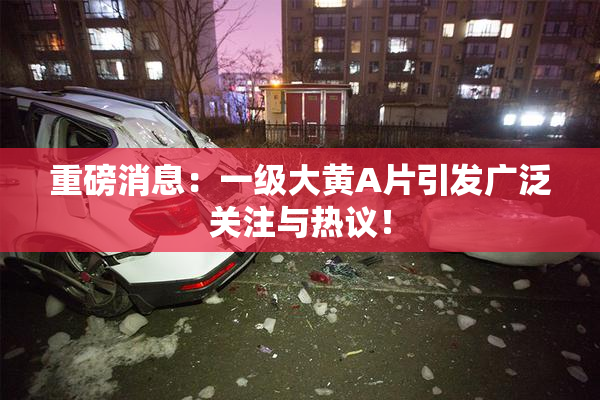 重磅消息：一级大黄A片引发广泛关注与热议！