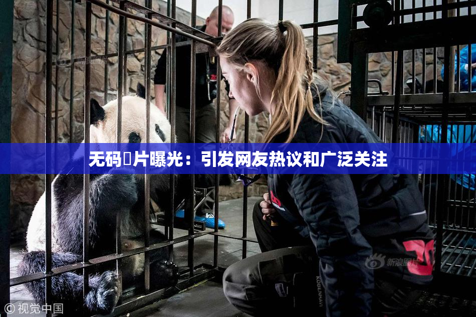 无码婬片曝光：引发网友热议和广泛关注