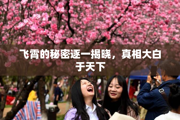飞霄的秘密逐一揭晓，真相大白于天下