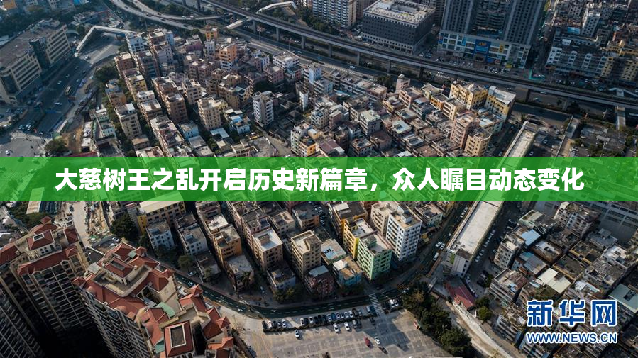 大慈树王之乱开启历史新篇章，众人瞩目动态变化