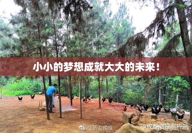小小的梦想成就大大的未来！