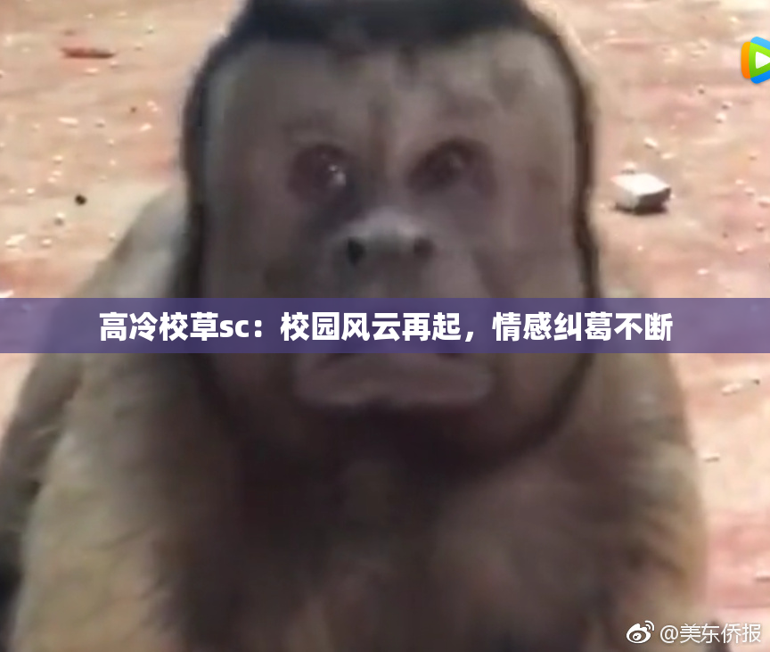 高冷校草sc：校园风云再起，情感纠葛不断