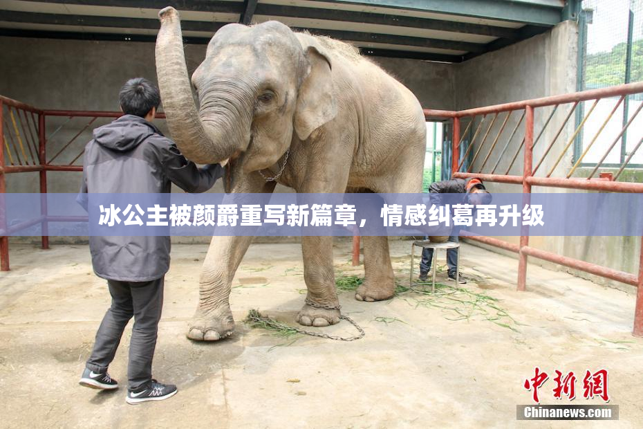 冰公主被颜爵重写新篇章，情感纠葛再升级