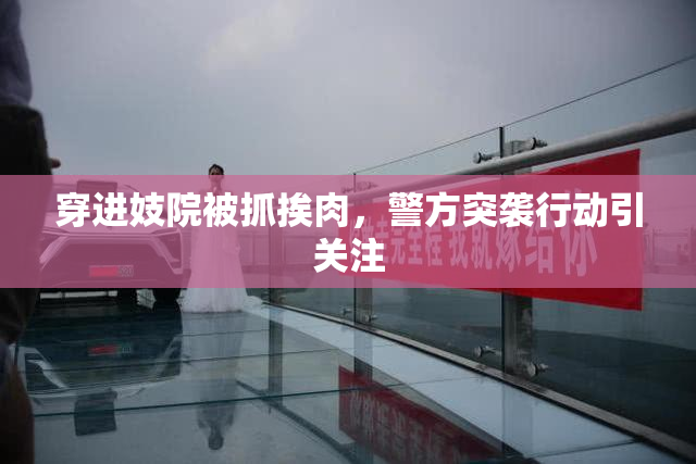 穿进妓院被抓挨肉，警方突袭行动引关注