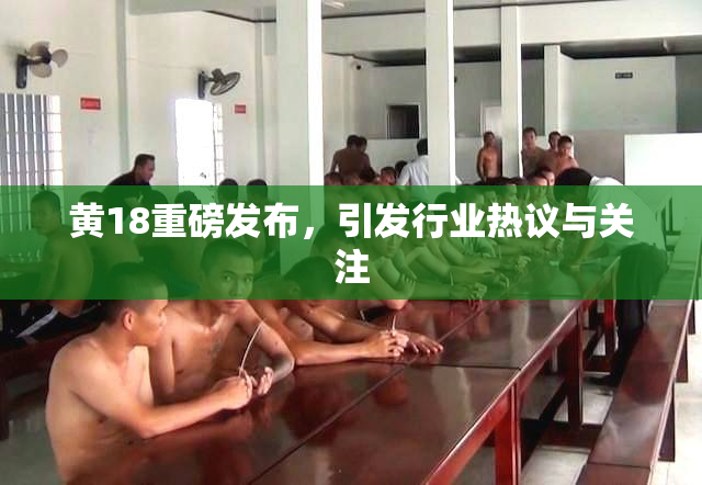 黄18重磅发布，引发行业热议与关注