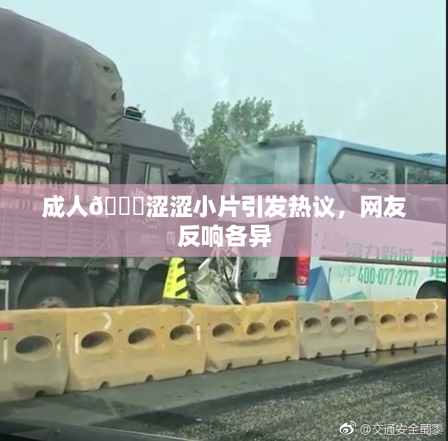 成人🔞涩涩小片引发热议，网友反响各异