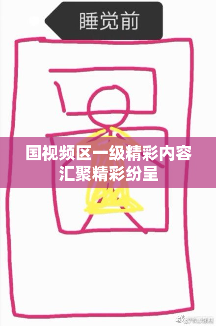 国视频区一级精彩内容汇聚精彩纷呈