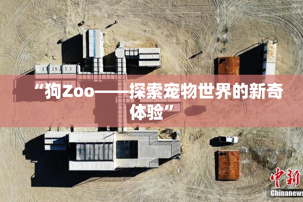 “狗Zoo——探索宠物世界的新奇体验”
