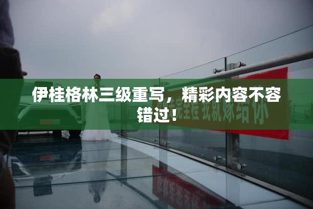 伊桂格林三级重写，精彩内容不容错过！