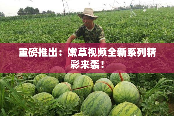 重磅推出：嫩草视频全新系列精彩来袭！