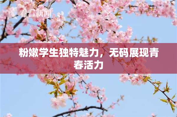 粉嫩学生独特魅力，无码展现青春活力