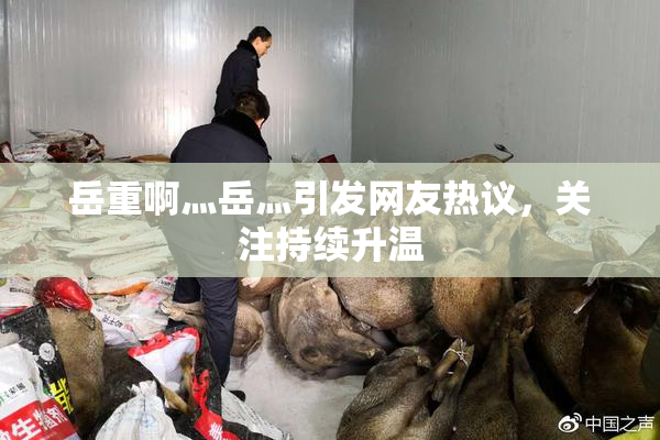 岳重啊灬岳灬引发网友热议，关注持续升温