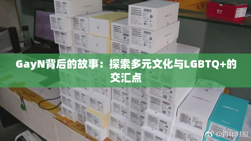 GayN背后的故事：探索多元文化与LGBTQ+的交汇点