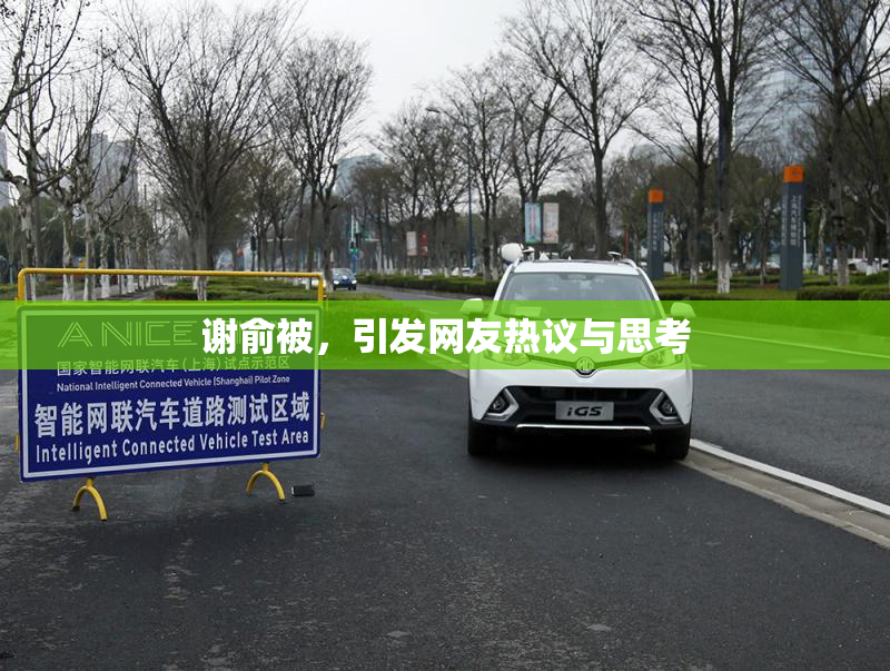 谢俞被，引发网友热议与思考