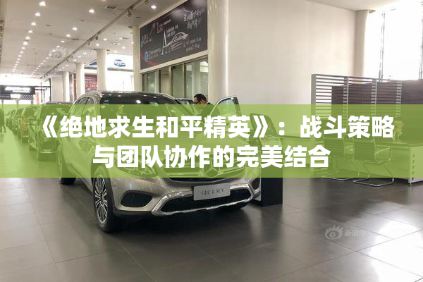 《绝地求生和平精英》：战斗策略与团队协作的完美结合