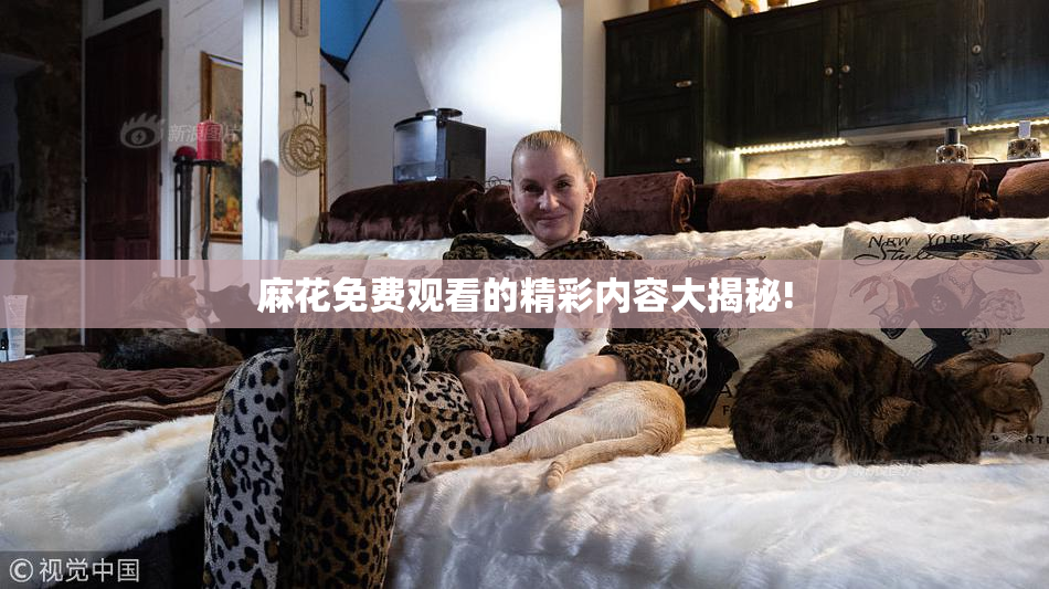 麻花免费观看的精彩内容大揭秘!