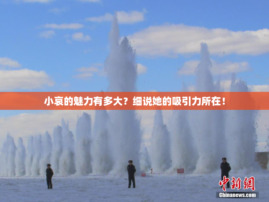 小哀的魅力有多大？细说她的吸引力所在！