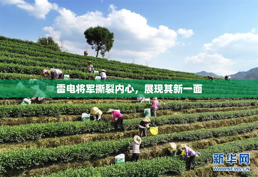 雷电将军撕裂内心，展现其新一面