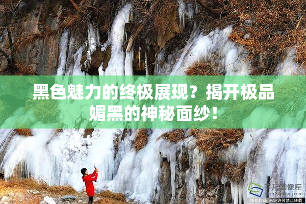 黑色魅力的终极展现？揭开极品媚黑的神秘面纱！