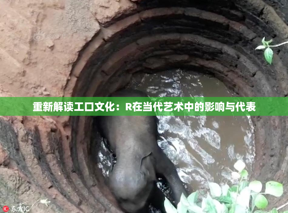 重新解读工口文化：R在当代艺术中的影响与代表
