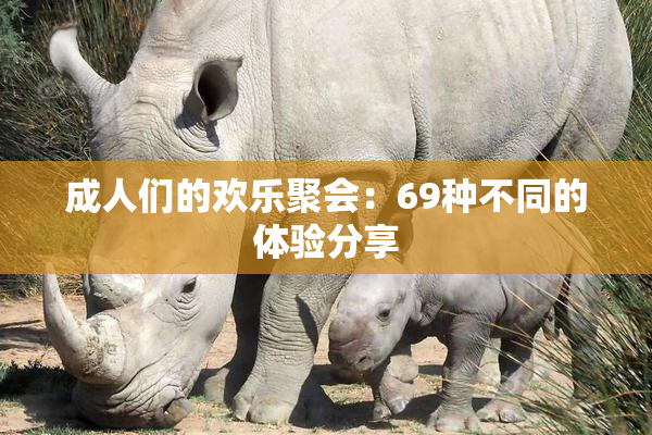 成人们的欢乐聚会：69种不同的体验分享