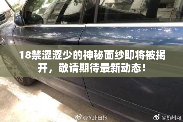 18禁涩涩少的神秘面纱即将被揭开，敬请期待最新动态！