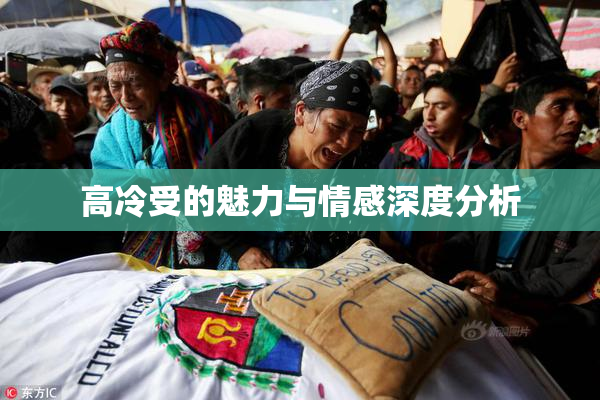 高冷受的魅力与情感深度分析