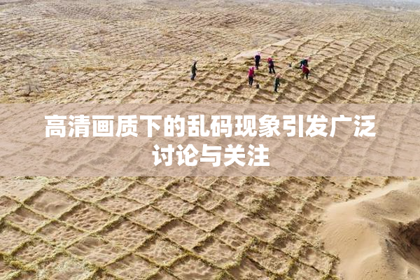 高清画质下的乱码现象引发广泛讨论与关注
