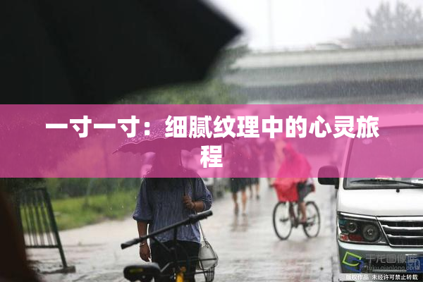 一寸一寸：细腻纹理中的心灵旅程