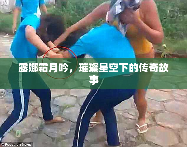 露娜霜月吟，璀璨星空下的传奇故事