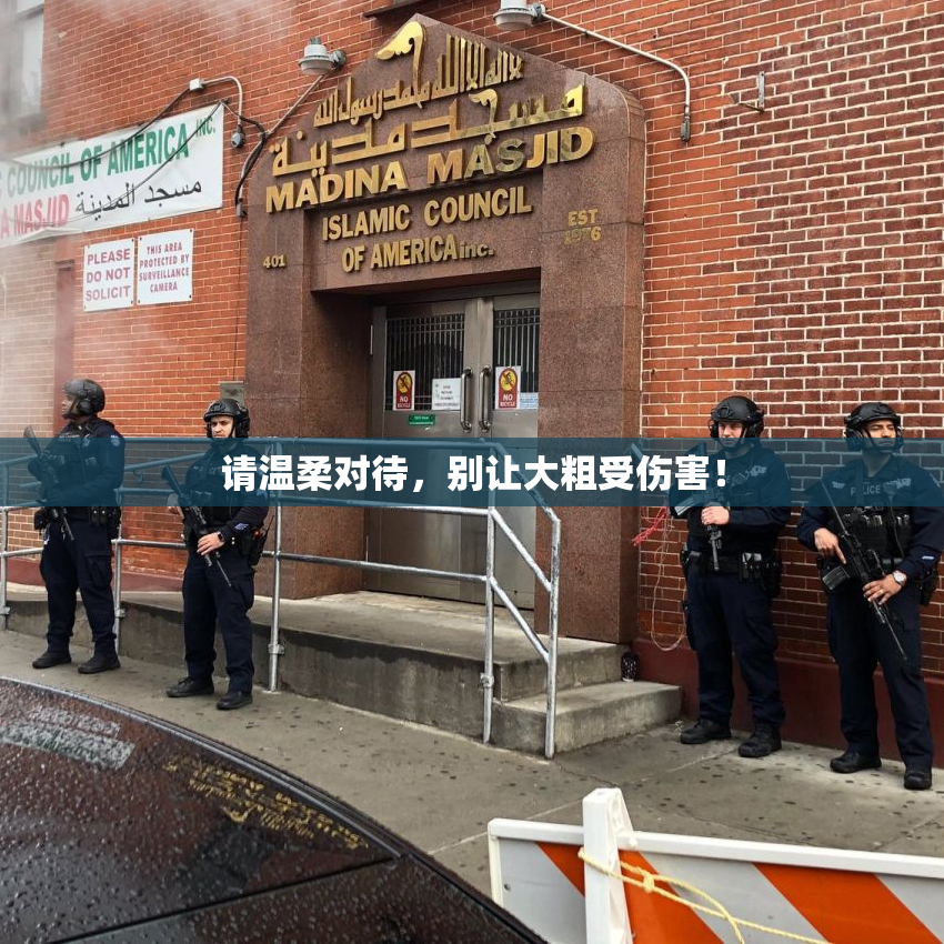 请温柔对待，别让大粗受伤害！