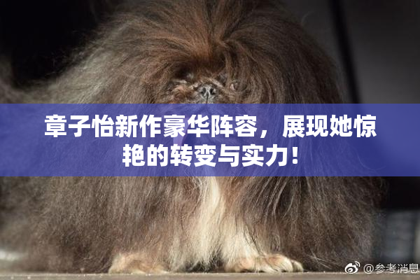 章子怡新作豪华阵容，展现她惊艳的转变与实力！