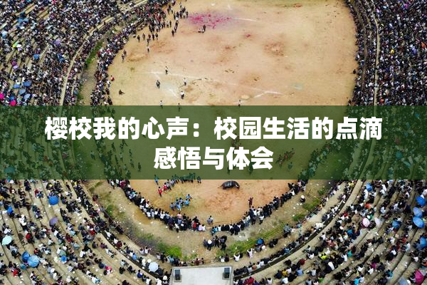 樱校我的心声：校园生活的点滴感悟与体会