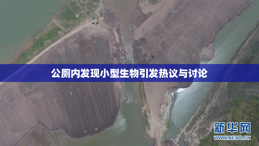公厕内发现小型生物引发热议与讨论