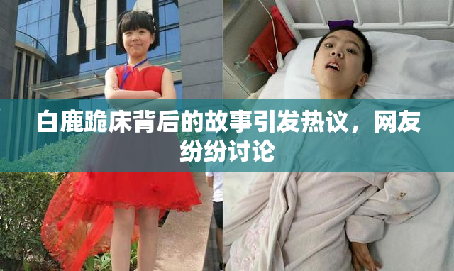 白鹿跪床背后的故事引发热议，网友纷纷讨论