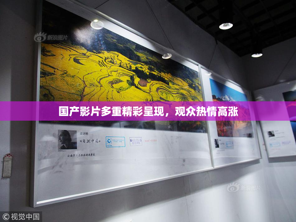 国产影片多重精彩呈现，观众热情高涨