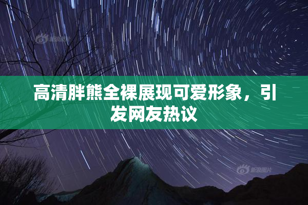 高清胖熊全裸展现可爱形象，引发网友热议