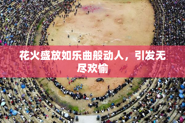 花火盛放如乐曲般动人，引发无尽欢愉
