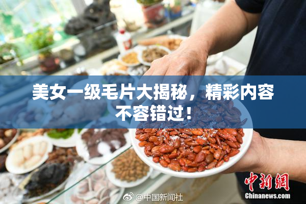 美女一级毛片大揭秘，精彩内容不容错过！