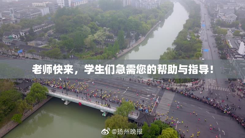 老师快来，学生们急需您的帮助与指导！
