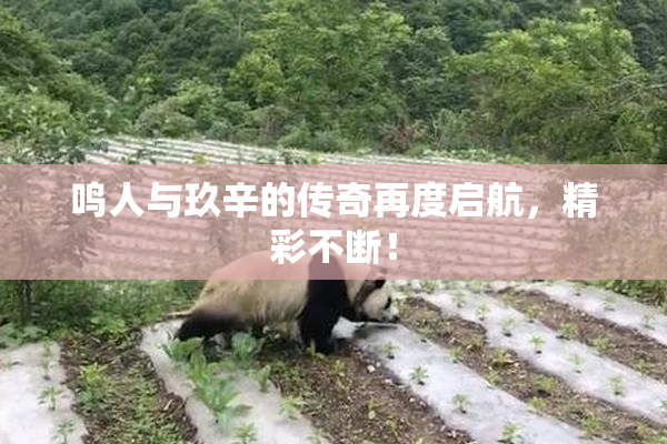 鸣人与玖辛的传奇再度启航，精彩不断！