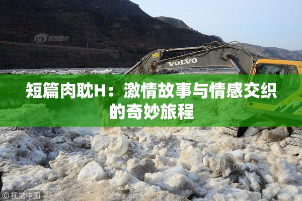 短篇肉耽H：激情故事与情感交织的奇妙旅程