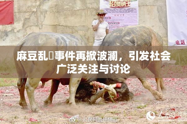 麻豆乱婬事件再掀波澜，引发社会广泛关注与讨论