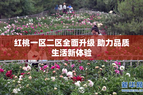红桃一区二区全面升级 助力品质生活新体验