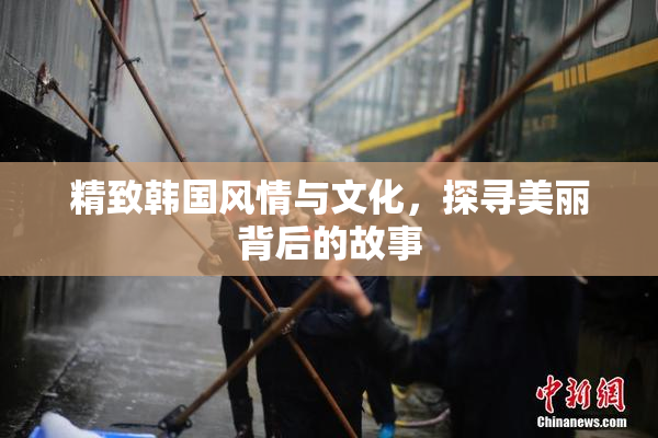 精致韩国风情与文化，探寻美丽背后的故事